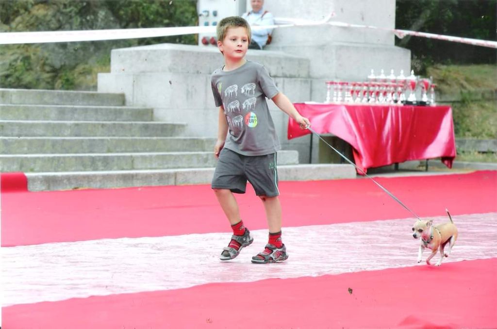 Concours canin classe Puppy mâles Ajaccio 31 mai 2014