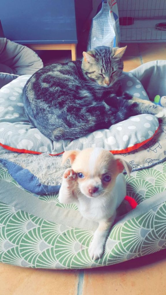 Babies